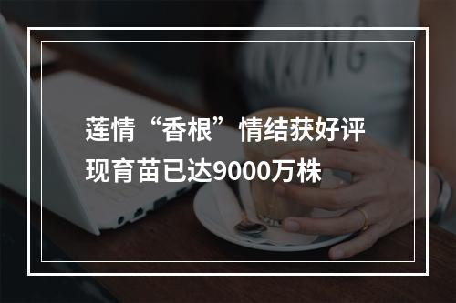 莲情“香根”情结获好评 现育苗已达9000万株