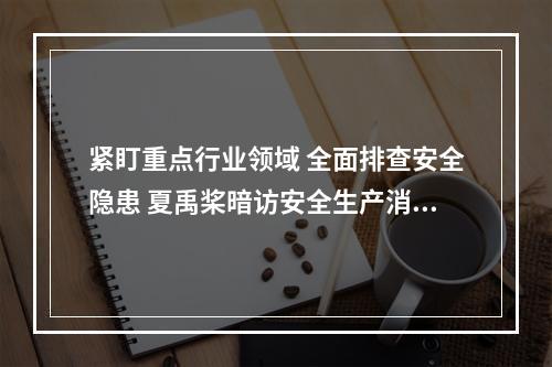 紧盯重点行业领域 全面排查安全隐患 夏禹桨暗访安全生产消防安全工作