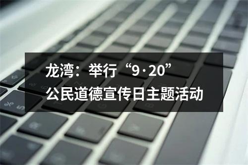龙湾：举行“9·20”公民道德宣传日主题活动
