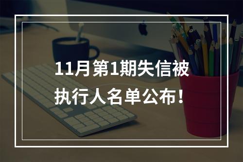 11月第1期失信被执行人名单公布！