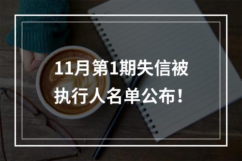 11月第1期失信被执行人名单公布！