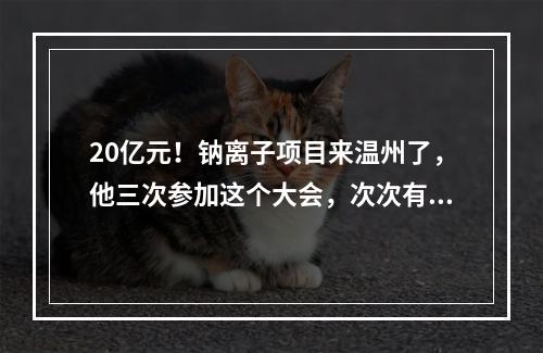20亿元！钠离子项目来温州了，他三次参加这个大会，次次有收获