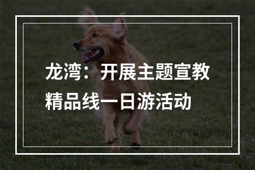 龙湾：开展主题宣教精品线一日游活动