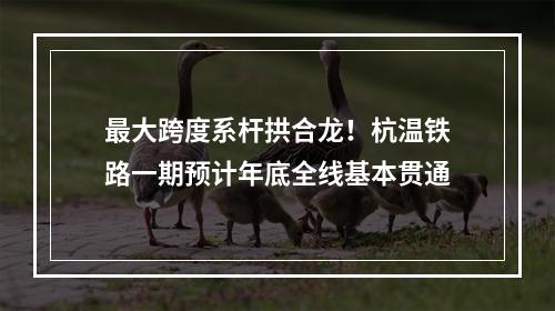 最大跨度系杆拱合龙！杭温铁路一期预计年底全线基本贯通
