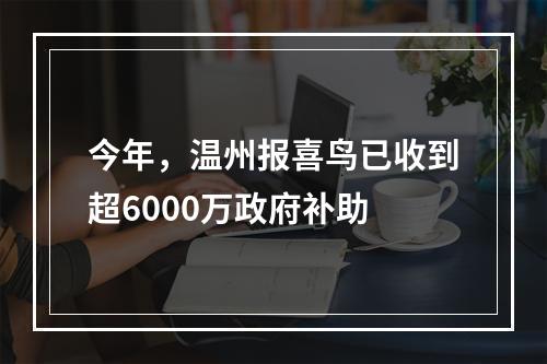 今年，温州报喜鸟已收到超6000万政府补助