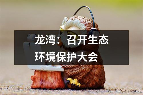 龙湾：召开生态环境保护大会