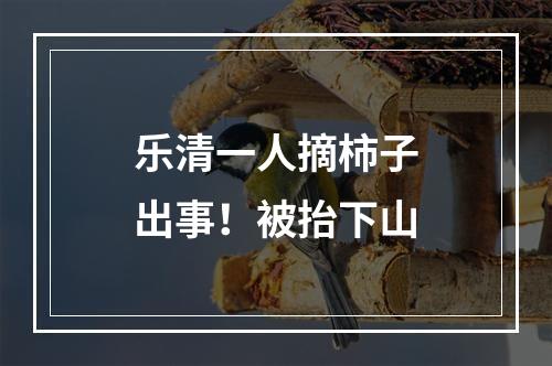 乐清一人摘柿子出事！被抬下山