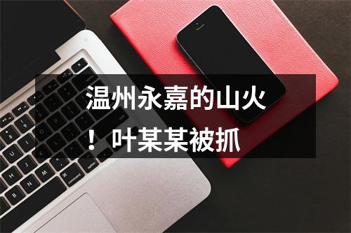 温州永嘉的山火！叶某某被抓