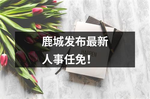 鹿城发布最新人事任免！
