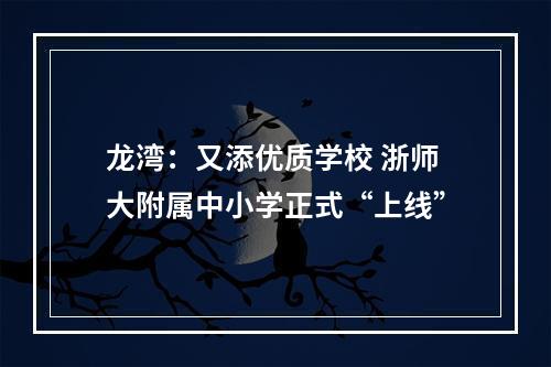 龙湾：又添优质学校 浙师大附属中小学正式“上线”