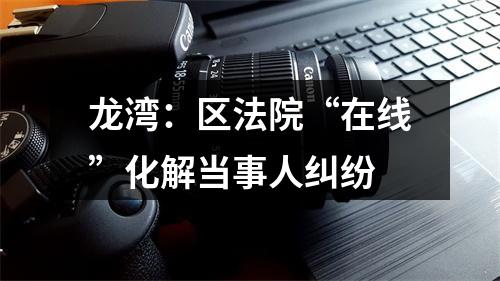 龙湾：区法院“在线”化解当事人纠纷