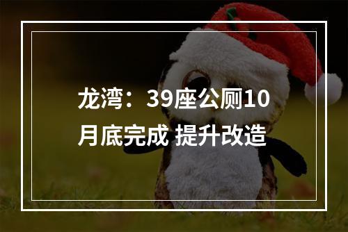 龙湾：39座公厕10月底完成 提升改造