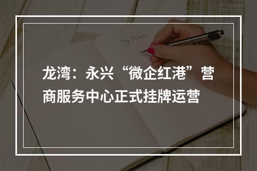 龙湾：永兴“微企红港”营商服务中心正式挂牌运营