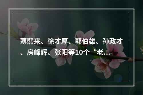 薄熙来、徐才厚、郭伯雄、孙政才、房峰辉、张阳等10个“老虎”，先后被写入 ...