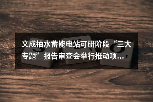 文成抽水蓄能电站可研阶段“三大专题”报告审查会举行推动项目早核准、早开 ...