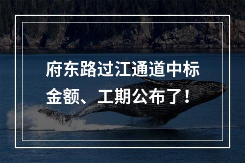 府东路过江通道中标金额、工期公布了！