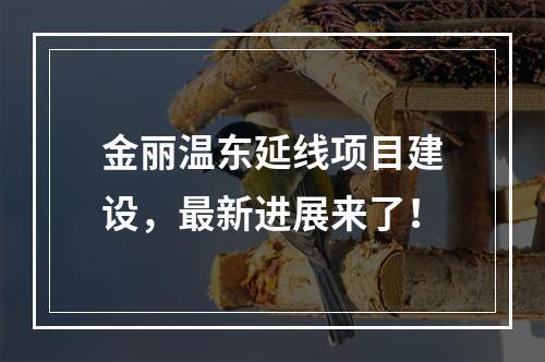 金丽温东延线项目建设，最新进展来了！