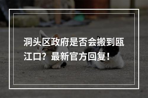 洞头区政府是否会搬到瓯江口？最新官方回复！