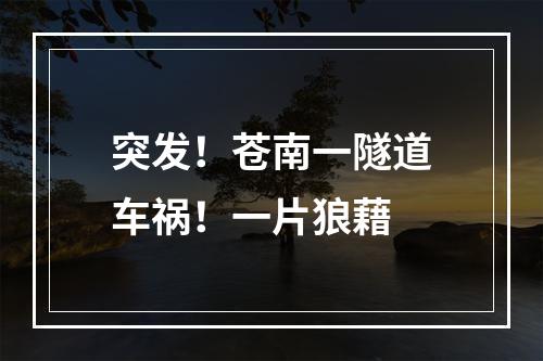 突发！苍南一隧道车祸！一片狼藉
