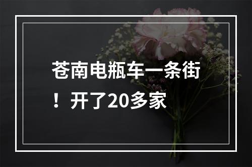 苍南电瓶车一条街！开了20多家