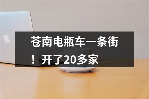 苍南电瓶车一条街！开了20多家