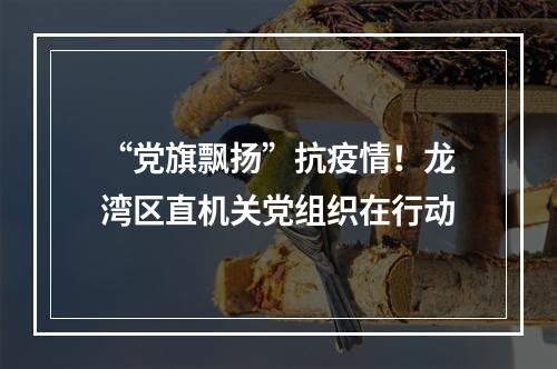“党旗飘扬”抗疫情！龙湾区直机关党组织在行动