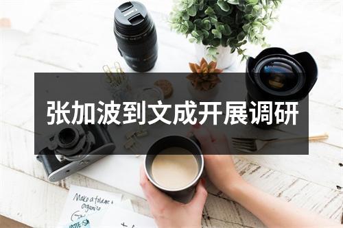 张加波到文成开展调研