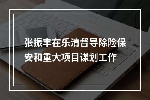 张振丰在乐清督导除险保安和重大项目谋划工作