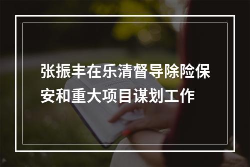 张振丰在乐清督导除险保安和重大项目谋划工作
