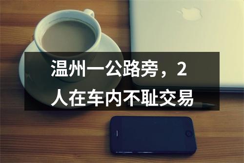 温州一公路旁，2人在车内不耻交易