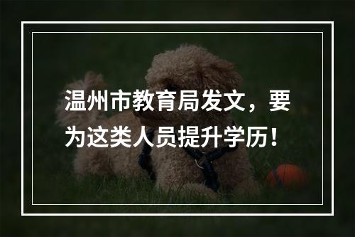 温州市教育局发文，要为这类人员提升学历！