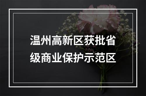温州高新区获批省级商业保护示范区