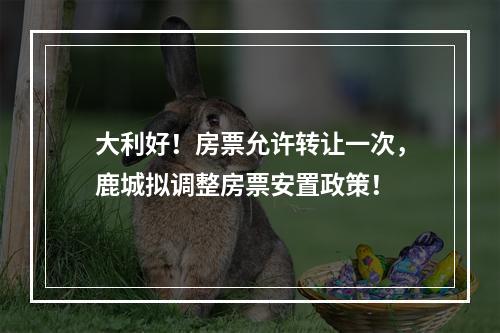 大利好！房票允许转让一次，鹿城拟调整房票安置政策！