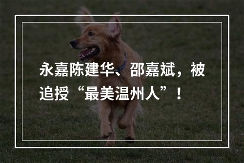 永嘉陈建华、邵嘉斌，被追授“最美温州人”！