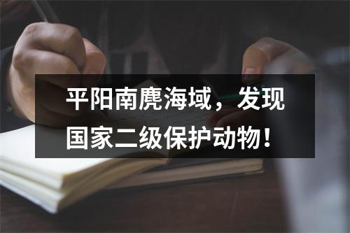 平阳南麂海域，发现国家二级保护动物！