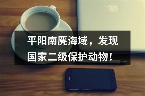 平阳南麂海域，发现国家二级保护动物！