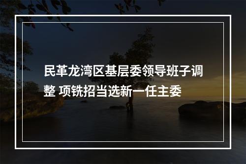 民革龙湾区基层委领导班子调整 项铣招当选新一任主委