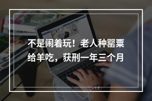 不是闹着玩！老人种罂粟给羊吃，获刑一年三个月