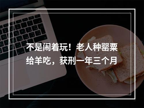 不是闹着玩！老人种罂粟给羊吃，获刑一年三个月