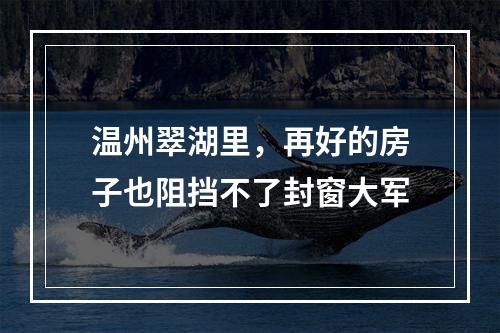 温州翠湖里，再好的房子也阻挡不了封窗大军