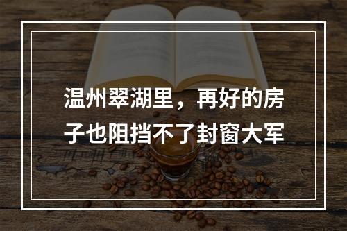 温州翠湖里，再好的房子也阻挡不了封窗大军
