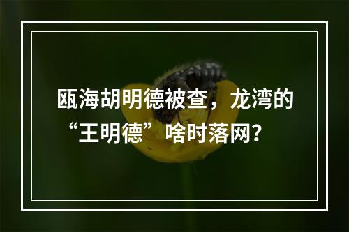 瓯海胡明德被查，龙湾的“王明德”啥时落网？