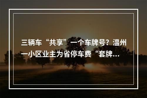 三辆车“共享”一个车牌号？温州一小区业主为省停车费“套牌”