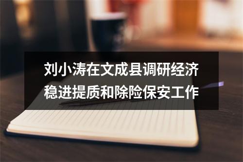 刘小涛在文成县调研经济稳进提质和除险保安工作