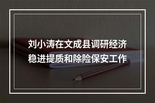 刘小涛在文成县调研经济稳进提质和除险保安工作