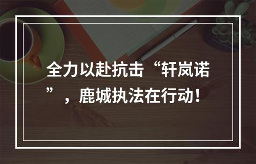 全力以赴抗击“轩岚诺”，鹿城执法在行动！
