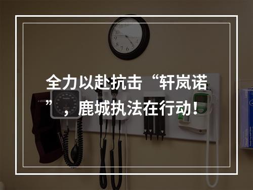 全力以赴抗击“轩岚诺”，鹿城执法在行动！
