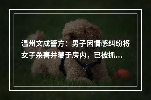温州文成警方：男子因情感纠纷将女子杀害并藏于房内，已被抓获