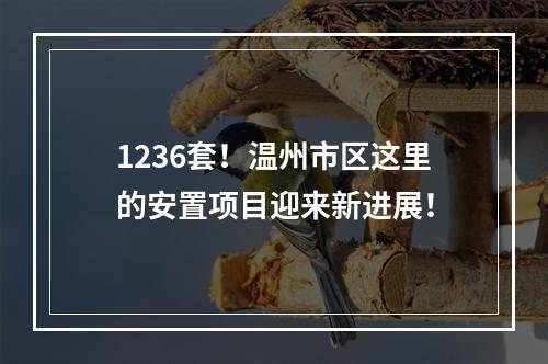1236套！温州市区这里的安置项目迎来新进展！