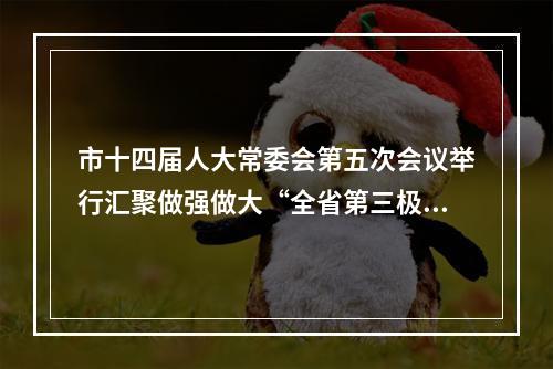 市十四届人大常委会第五次会议举行汇聚做强做大“全省第三极”强大合力
